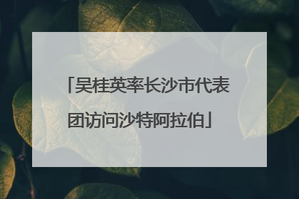 吴桂英率长沙市代表团访问沙特阿拉伯