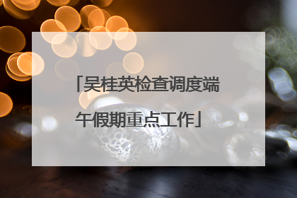 吴桂英检查调度端午假期重点工作