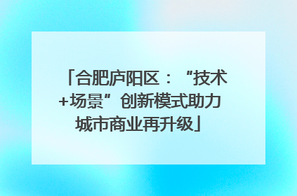 合肥庐阳区：“技术+场景”创新模式助力城市商业再升级