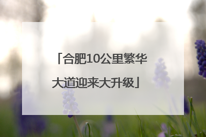 合肥10公里繁华大道迎来大升级