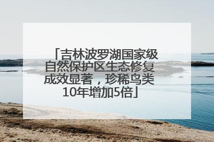 吉林波罗湖国家级自然保护区生态修复成效显著，珍稀鸟类10年增加5倍