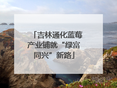 吉林通化蓝莓产业铺就“绿富同兴”新路