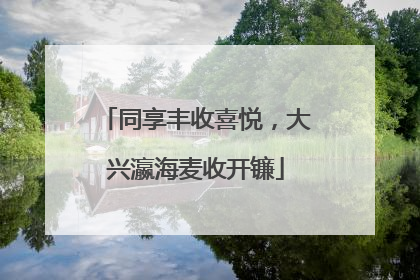 同享丰收喜悦，大兴瀛海麦收开镰