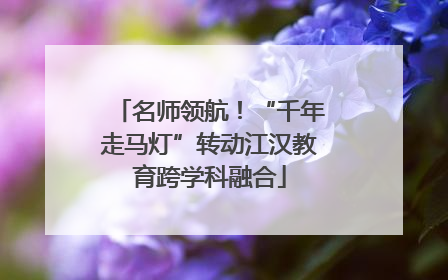 名师领航！“千年走马灯”转动江汉教育跨学科融合