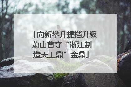 向新攀升提档升级 萧山首夺“浙江制造天工鼎”金鼎
