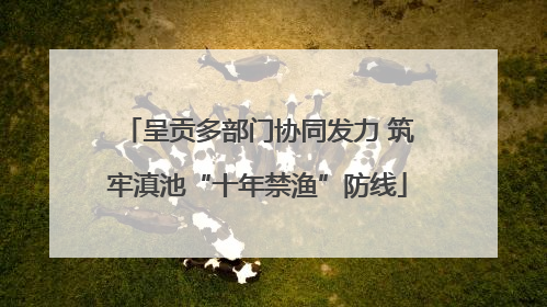 呈贡多部门协同发力 筑牢滇池“十年禁渔”防线