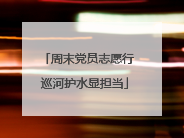周末党员志愿行 巡河护水显担当