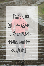 品读·原创|在这里,永远想不出会遇到什么动物