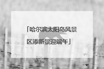 哈尔滨太阳岛风景区添新景迎端午