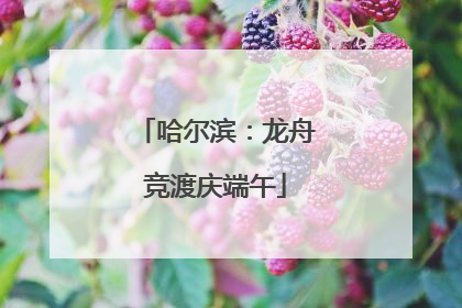 哈尔滨：龙舟竞渡庆端午