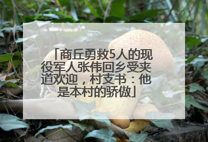 商丘勇救5人的现役军人张伟回乡受夹道欢迎，村支书：他是本村的骄傲