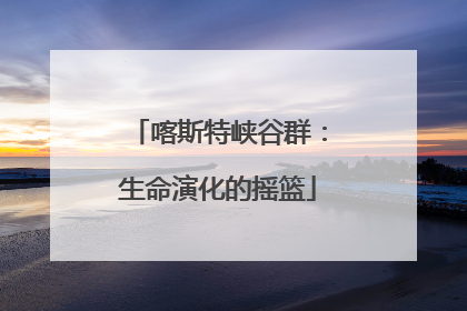 喀斯特峡谷群：生命演化的摇篮