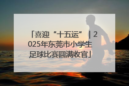 喜迎“十五运”｜2025年东莞市小学生足球比赛圆满收官