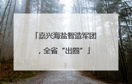 嘉兴海盐智造军团，全省“出圈”