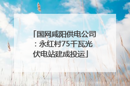 国网咸阳供电公司：永红村75千瓦光伏电站建成投运