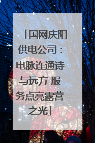 国网庆阳供电公司：电脉连通诗与远方 服务点亮露营之光