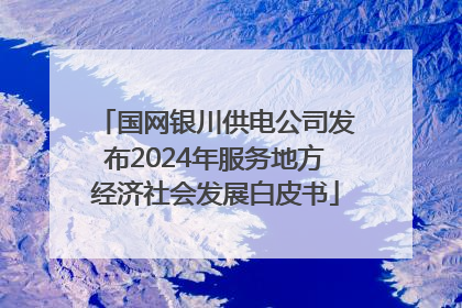 国网银川供电公司发布2024年服务地方经济社会发展白皮书