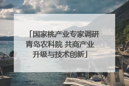 国家桃产业专家调研青岛农科院 共商产业升级与技术创新