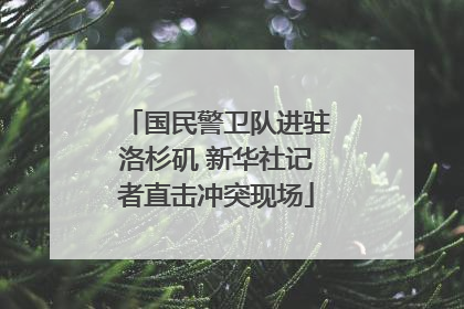 国民警卫队进驻洛杉矶 新华社记者直击冲突现场