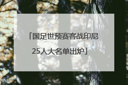 国足世预赛客战印尼25人大名单出炉