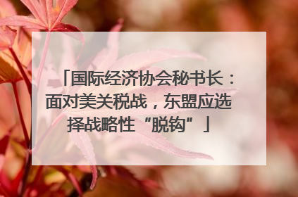 国际经济协会秘书长：面对美关税战，东盟应选择战略性“脱钩”