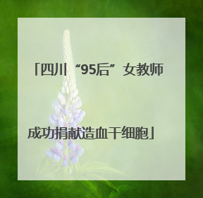 四川“95后”女教师成功捐献造血干细胞