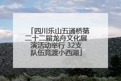 四川乐山五通桥第二十二届龙舟文化展演活动举行 32支队伍竞渡小西湖