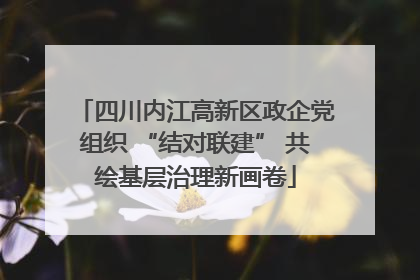四川内江高新区政企党组织 “结对联建” 共绘基层治理新画卷