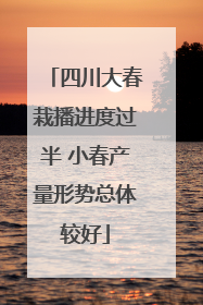 四川大春栽播进度过半 小春产量形势总体较好