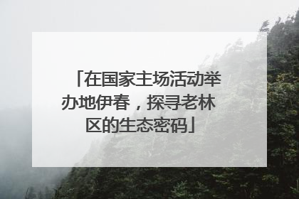 在国家主场活动举办地伊春，探寻老林区的生态密码