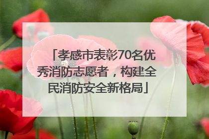 孝感市表彰70名优秀消防志愿者，构建全民消防安全新格局