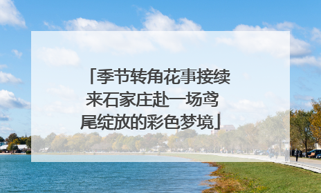 季节转角花事接续 来石家庄赴一场鸢尾绽放的彩色梦境