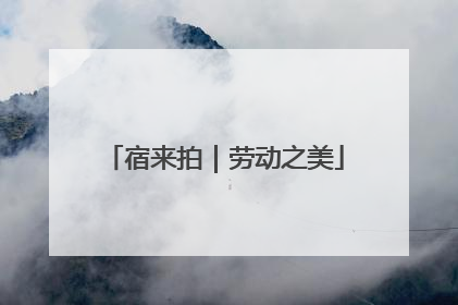 宿来拍｜劳动之美