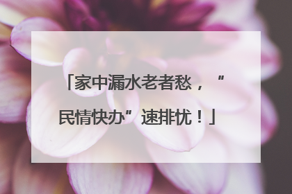 家中漏水老者愁，“民情快办”速排忧！