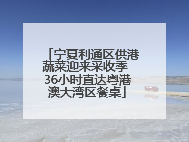 宁夏利通区供港蔬菜迎来采收季 36小时直达粤港澳大湾区餐桌