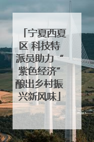 宁夏西夏区 科技特派员助力“紫色经济”酿出乡村振兴新风味
