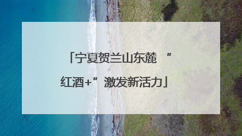 宁夏贺兰山东麓 “红酒+”激发新活力
