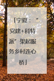 宁夏：“党建+科特派”架起服务乡村连心桥