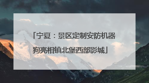 宁夏：景区定制安防机器狗亮相镇北堡西部影城