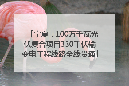 宁夏：100万千瓦光伏复合项目330千伏输变电工程线路全线贯通