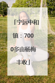 宁远中和镇：7000多亩杨梅丰收
