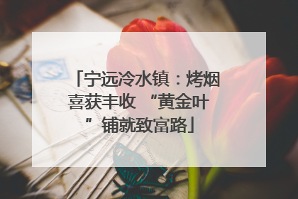 宁远冷水镇：烤烟喜获丰收 “黄金叶”铺就致富路