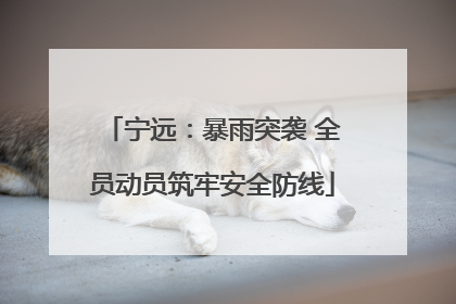 宁远：暴雨突袭 全员动员筑牢安全防线