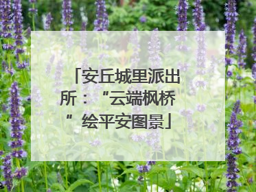 安丘城里派出所：“云端枫桥”绘平安图景