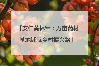 安仁黄林军：万亩药材基地铺就乡村振兴路