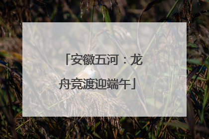 安徽五河：龙舟竞渡迎端午