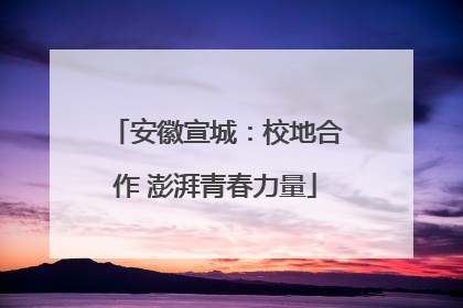 安徽宣城：校地合作 澎湃青春力量