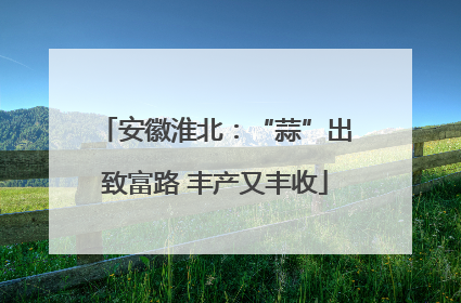 安徽淮北：“蒜”出致富路 丰产又丰收