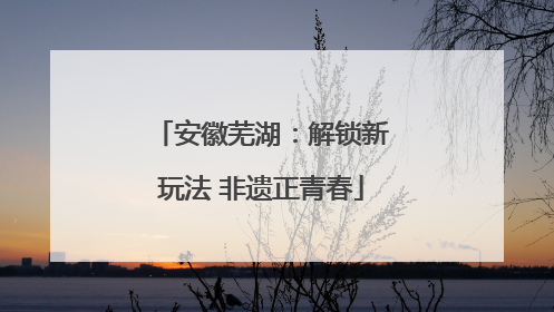 安徽芜湖：解锁新玩法 非遗正青春