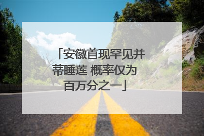安徽首现罕见并蒂睡莲 概率仅为百万分之一